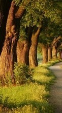 Scaricare immagine Landscape, Trees, Roads sul telefono gratis.