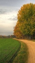 Scaricare immagine Trees, Roads, Landscape, Fields sul telefono gratis.