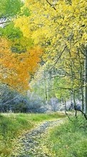 Scaricare immagine Plants, Landscape, Nature, Trees, Roads sul telefono gratis.