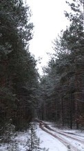 Scaricare immagine Plants, Landscape, Winter, Trees, Roads, Snow sul telefono gratis.