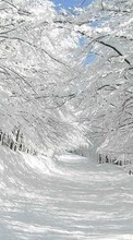 Scaricare immagine Trees, Roads, Landscape, Snow sul telefono gratis.