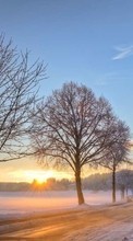 Scaricare immagine Trees, Roads, Landscape, Snow, Sunset, Winter sul telefono gratis.
