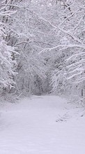 Scaricare immagine Trees, Roads, Nature, Snow, Winter sul telefono gratis.