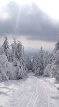 Scaricare immagine Landscape, Winter, Trees, Roads, Snow sul telefono gratis.