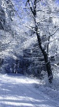 Scaricare immagine Trees, Roads, Landscape, Snow, Winter sul telefono gratis.