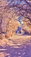 Scaricare immagine Trees, Roads, Landscape, Snow, Winter sul telefono gratis.