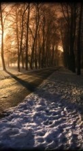 Scaricare immagine 540x960 Landscape, Winter, Trees, Roads, Snow sul telefono gratis.