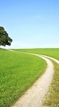 Scaricare immagine Landscape, Trees, Grass, Roads sul telefono gratis.