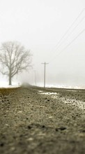 Scaricare immagine Trees, Roads, Landscape, Winter sul telefono gratis.