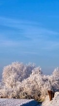 Scaricare immagine Trees,Roads,Landscape,Winter sul telefono gratis.