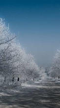 Scaricare immagine Trees,Roads,Landscape,Winter sul telefono gratis.
