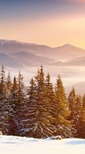 Scaricare immagine Trees, Fir-trees, Mountains, Landscape, Plants, Snow sul telefono gratis.