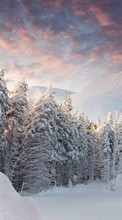 Scaricare immagine Trees, Fir-trees, Mountains, Landscape, Snow, Winter sul telefono gratis.