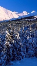 Scaricare immagine Landscape, Winter, Trees, Mountains, Fir-trees sul telefono gratis.