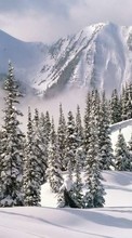 Scaricare immagine 128x160 Landscape, Winter, Trees, Mountains, Fir-trees sul telefono gratis.