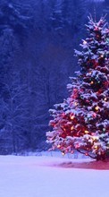 Scaricare immagine Trees, Fir-trees, New Year, Nature, Holidays, Christmas, Xmas sul telefono gratis.