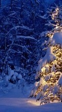 Scaricare immagine 128x160 Holidays, Landscape, Winter, Trees, New Year, Snow, Fir-trees, Christmas, Xmas sul telefono gratis.