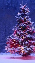 Scaricare immagine Trees,Fir-trees,New Year,Holidays sul telefono gratis.