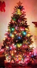 Scaricare immagine Holidays, Plants, Trees, New Year, Fir-trees, Christmas, Xmas sul telefono gratis.