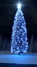 Scaricare immagine Holidays, Trees, New Year, Fir-trees, Christmas, Xmas sul telefono gratis.