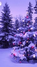 Scaricare immagine Trees, Fir-trees, New Year, Holidays, Christmas, Xmas, Snow, Winter sul telefono gratis.
