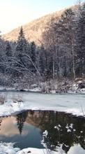 Scaricare immagine 128x160 Landscape, Winter, Trees, Snow, Fir-trees, Lakes sul telefono gratis.