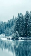 Scaricare immagine Trees, Fir-trees, Landscape, Rivers, Snow, Winter sul telefono gratis.