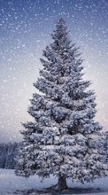 Scaricare immagine Trees, Fir-trees, Landscape, Snow, Winter sul telefono gratis.