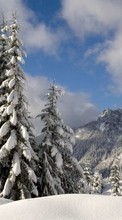 Scaricare immagine Landscape, Winter, Trees, Snow, Fir-trees sul telefono gratis.