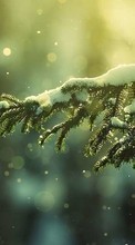 Scaricare immagine Trees,Fir-trees,Plants,Snow sul telefono gratis.