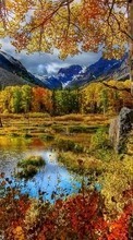 Scaricare immagine Trees, Birches, Mountains, Autumn, Landscape, Rivers sul telefono gratis.