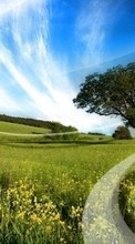 Scaricare immagine Trees, Background, Sky, Clouds, Landscape, Fields sul telefono gratis.
