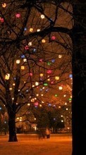 Scaricare immagine Trees, Background, New Year, Landscape, Holidays, Christmas, Xmas sul telefono gratis.