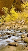 Scaricare immagine 240x320 Landscape, Rivers, Trees, Stones sul telefono gratis.