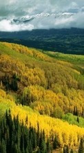 Scaricare immagine Trees, Mountains, Clouds, Autumn, Landscape sul telefono gratis.