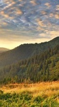 Scaricare immagine Trees, Mountains, Clouds, Landscape, Sunset sul telefono gratis.