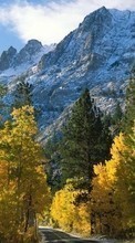 Scaricare immagine Trees, Mountains, Autumn, Landscape sul telefono gratis.