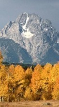 Scaricare immagine Trees, Mountains, Autumn, Landscape sul telefono gratis.
