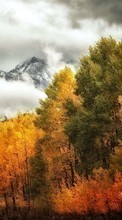 Scaricare immagine Trees,Mountains,Autumn,Landscape sul telefono gratis.