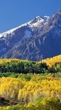 Scaricare immagine Landscape, Trees, Mountains, Autumn sul telefono gratis.
