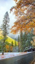 Scaricare immagine Trees, Mountains, Autumn, Landscape, Snow sul telefono gratis.