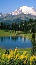 Scaricare immagine Landscape, Trees, Mountains, Lakes sul telefono gratis.
