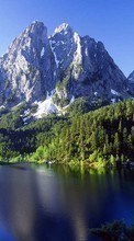 Scaricare immagine Trees, Mountains, Lakes, Landscape sul telefono gratis.