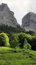 Trees, Mountains, Landscape per LG GW300