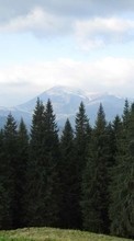 Scaricare immagine Trees,Mountains,Landscape sul telefono gratis.