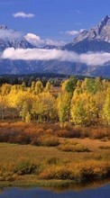 Scaricare immagine 1024x600 Landscape, Trees, Mountains sul telefono gratis.