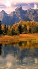Scaricare immagine Trees, Mountains, Landscape, Rivers sul telefono gratis.