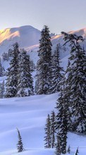 Scaricare immagine Trees,Mountains,Landscape,Snow sul telefono gratis.