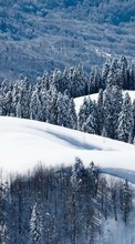 Scaricare immagine Trees, Mountains, Landscape, Snow, Winter sul telefono gratis.