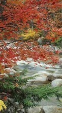 Scaricare immagine Landscape, Rivers, Trees, Stones, Autumn sul telefono gratis.